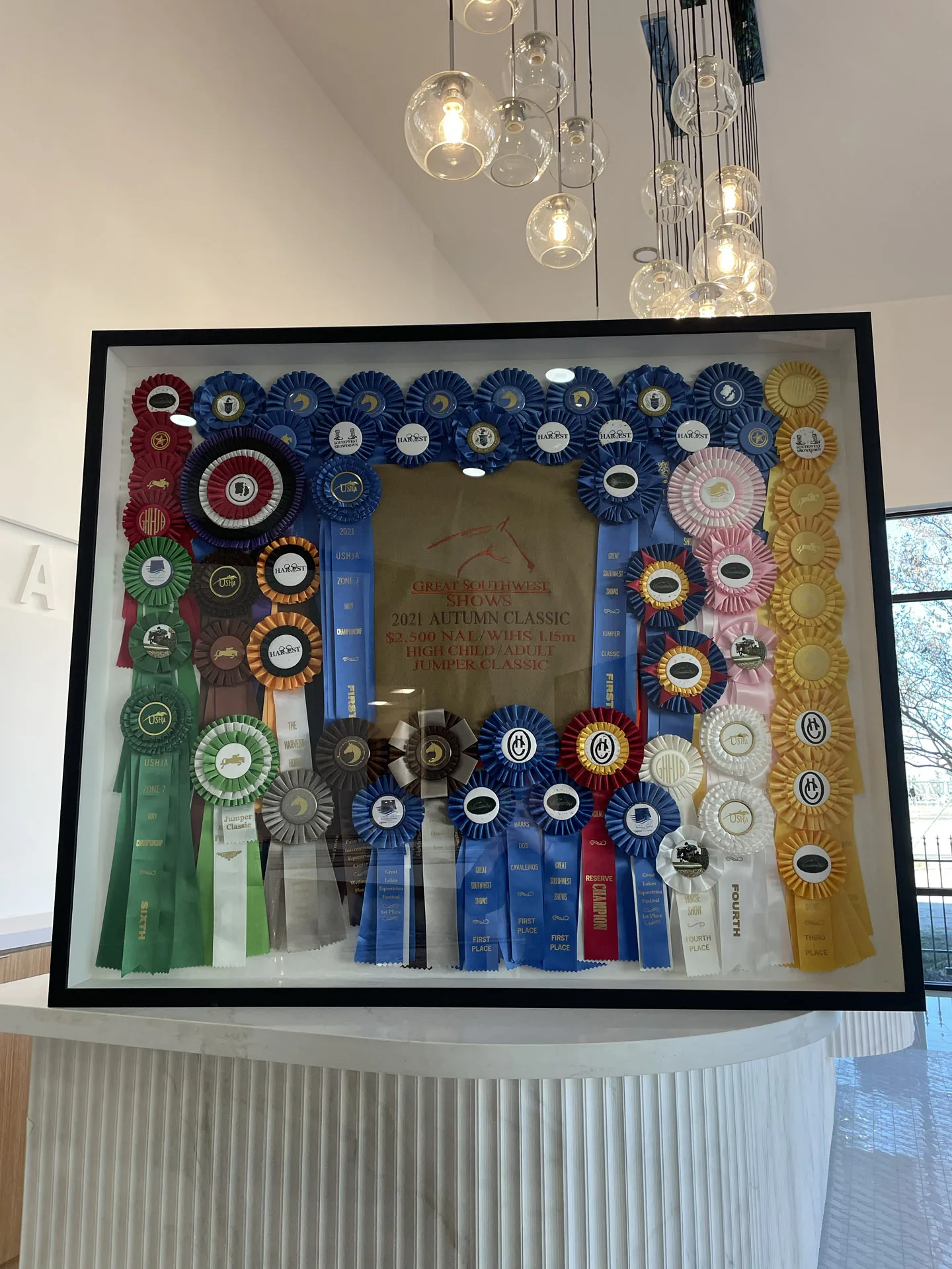 Framed Horse Ribbons